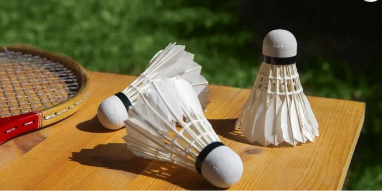 Bật Mí Cách Chơi Cá Cược Cầu Lông Tại M88 Chắc Thắng Mọi Kèo