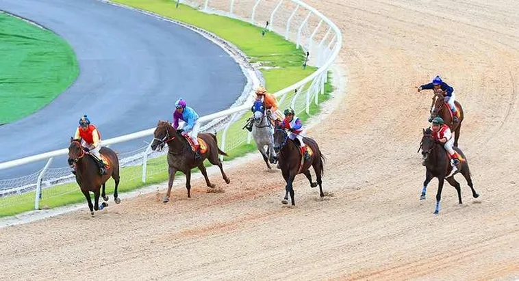 Chinh Phục Trường Đua M88 Khám Phá Bí Quyết Cá Cược Đỉnh Cao