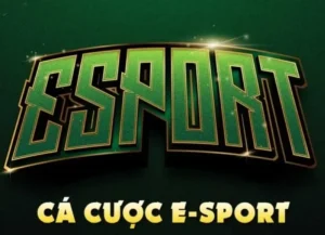 Hướng Dẫn Chi Tiết Cách Chơi Thể Thao Điện Tử Tại M88 Từ A Tới Z